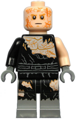 sw829